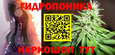 apvp Краснокаменск
