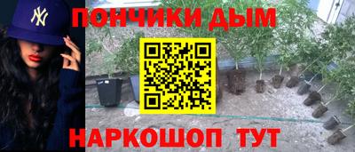 гидра Краснознаменск