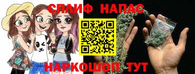гидра Краснознаменск