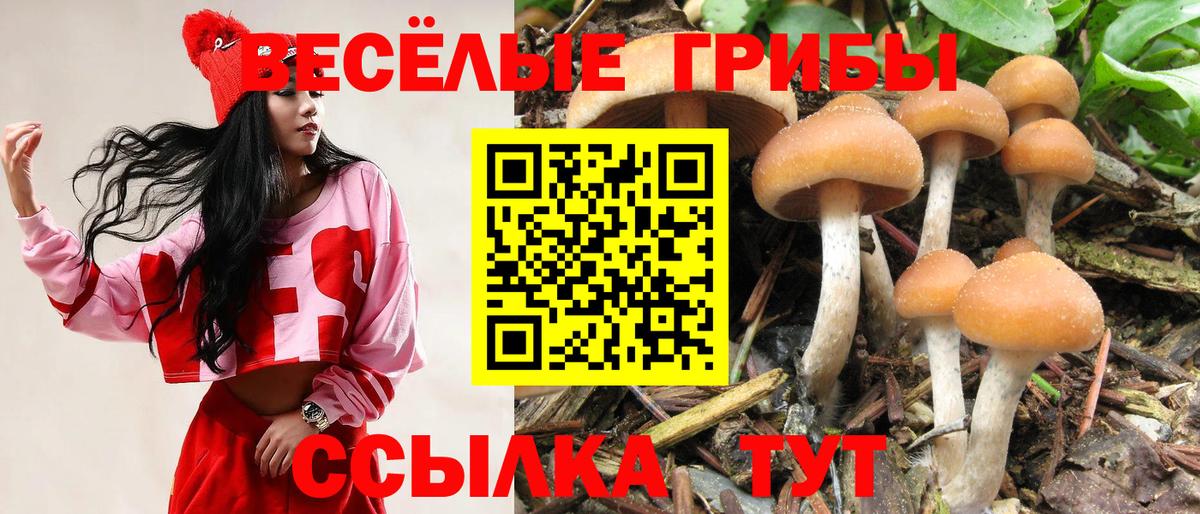 Галлюциногенные грибы ЛСД Барабинск