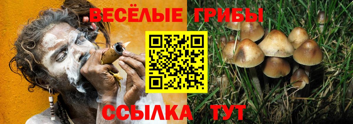 Галлюциногенные грибы ЛСД  Вход с VPN  Псилоцибиновые грибы MAGIC MUSHROOMS  наркошоп  Барабинск 